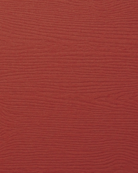 Notebook: 8 x 10 inches, lined paper, 100 pages (red notebook/journal/composition book).