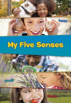 Paperback My Five Senses Book