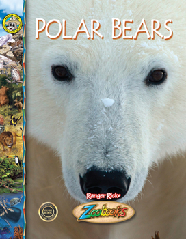 Library Binding Polar Bears Book