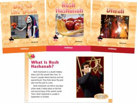 Library Binding Holidays Set 4 (Set) Book