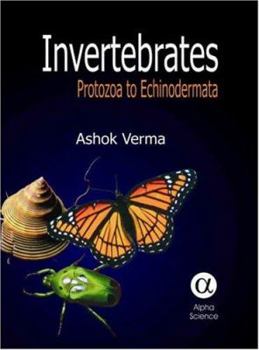 Hardcover Invertebrates: Protozoa to Echinodermata Book