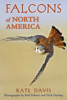 Paperback Falcons of North America Book