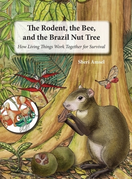 Hardcover The Rodent, the Bee, and the Brazil Nut Tree: How Living Things Work Together for Survival Book
