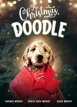 DVD The Christmas Doodle Book