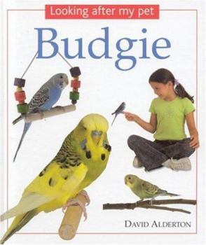 Hardcover Looking After My Pet Budgie Book