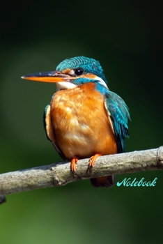 Paperback Notebook: Lined Notebook Journal, 120 pages, (6 x 9 inches) Book