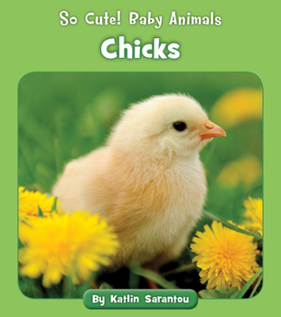 Paperback Chicks Book