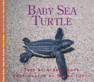 Baby Sea Turtle - Book  of the Nature Babies