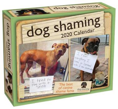 Calendar Dog Shaming 2020 Day-To-Day Calendar Book
