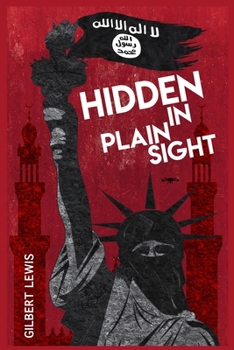Paperback Hidden in Plain Sight Book