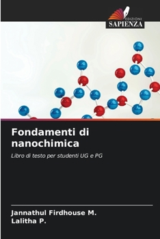 Paperback Fondamenti di nanochimica [Italian] Book