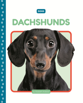 Library Binding Dachshunds Book