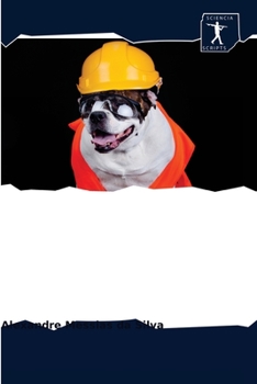 Paperback Sicurezza sul lavoro [Italian] Book