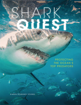Paperback Shark Quest: Protecting the Ocean's Top Predators Book