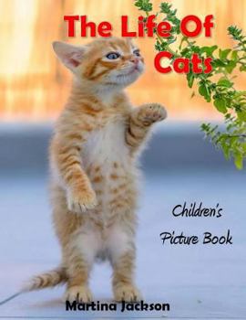 Paperback The Life Of Cats: Children's Picture Books (Ages 2-6) Book