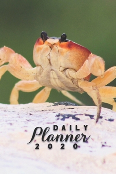 Paperback Daily Planner 2020: Cute Crab Sea Life 52 Weeks 365 Day Daily Planner for Year 2020 6x9 Everyday Organizer Monday to Sunday Life Plan Acad Book