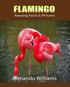 Paperback Flamingo: Amazing Facts & Pictures Book