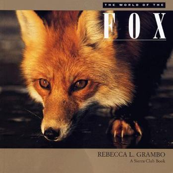 Paperback The World of the Fox Book
