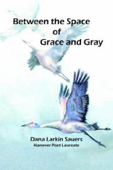 Paperback Between the Space of Grace and Gray Book