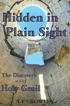 Paperback Hidden in Plain Sight Book