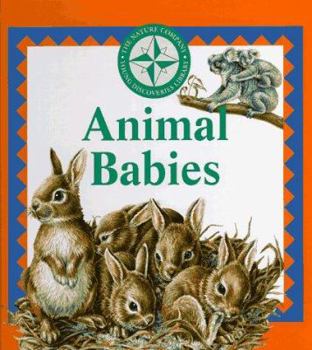 Hardcover Animal Babies Book