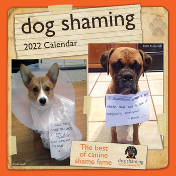 Calendar Dog Shaming 2022 Mini Wall Calendar Book