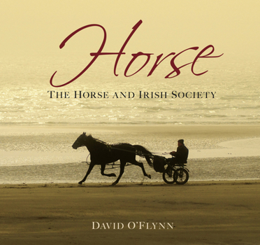 Hardcover Horse: The Horse and Irish Society Book