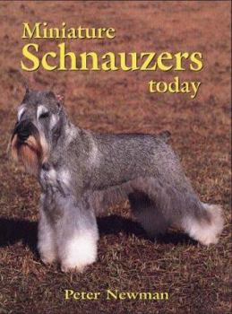 Hardcover Miniature Schnauzers Today [With 40 Color and 100 Black and White Pictures] Book