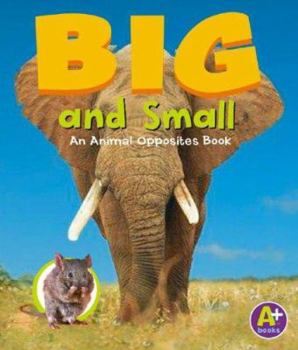 Hardcover Big and Small: An Animal Opposites Book