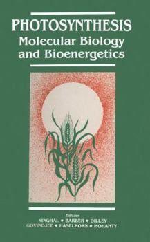 Paperback Photosynthesis: Molecular Biology and Bioenergetics Book