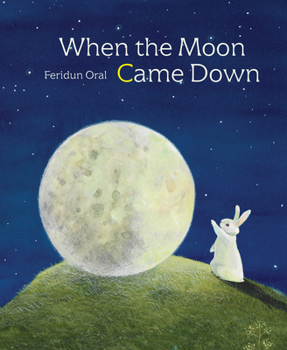 Hardcover When the Moon Came Down Book