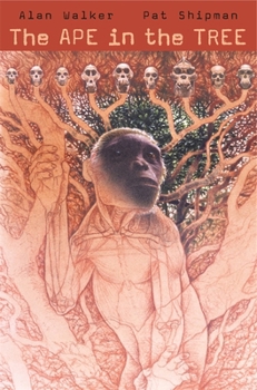 Hardcover The Ape in the Tree: An Intellectual and Natural History of Proconsul Book