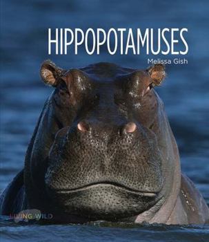 Hippopotamuses - Book  of the Living Wild