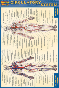 Pamphlet Circulatory System Book
