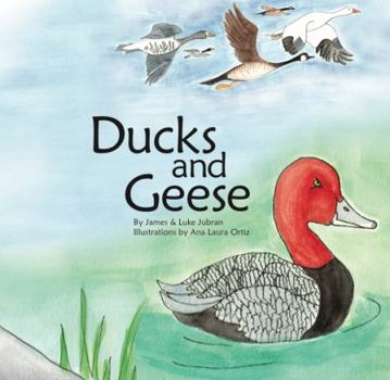 Ducks and Geese: Board Book, Wildlife, Animals, Conservation, Smile Outside, Children's book