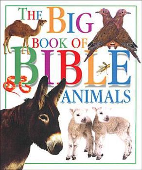 Hardcover The Big Book of Bible Animals Book