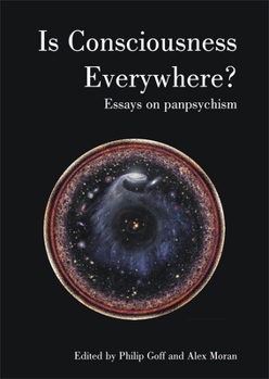 Paperback Is Consciousness Everywhere?: Essays in Panpsychism Book