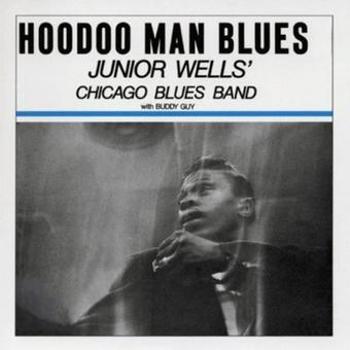 Vinyl Hoodoo Man Blues Book