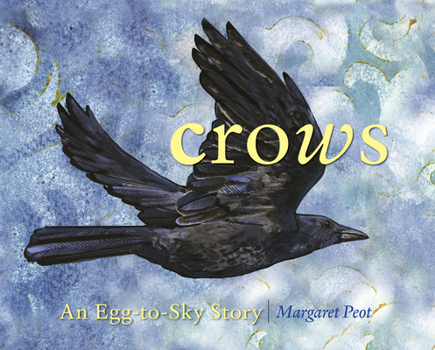 Hardcover Crows: An Egg-To-Sky Story Book