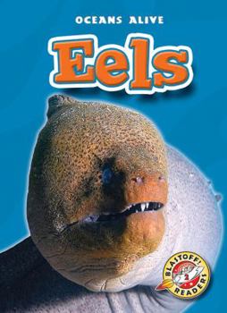 Eels - Book  of the Oceans Alive