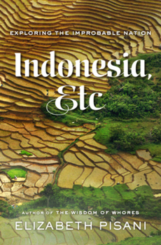 Hardcover Indonesia, Etc.: Exploring the Improbable Nation Book