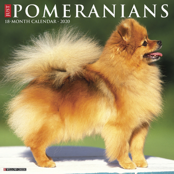 Calendar Just Pomeranians 2020 Wall Calendar (Dog Breed Calendar) Book