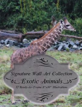 Paperback Signature Wall Art Collection: Exotic Animals Book