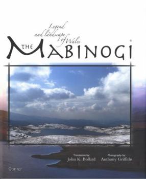 Hardcover The Mabinogi Book