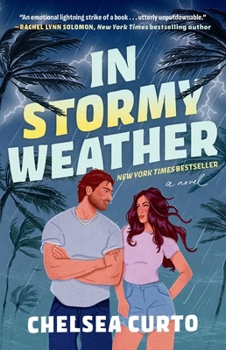 Paperback In Stormy Weather Book