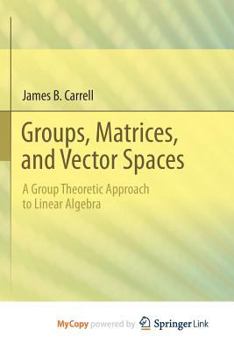Paperback Groups, Matrices, and Vector Spaces: A Group Theoretic Approach to Linear Algebra Book