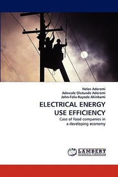 Paperback Electrical Energy Use Efficiency Book