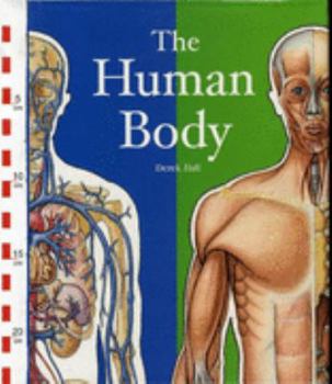 Human Body