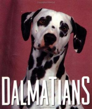 Hardcover Dalmations Book