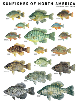 Misc. Sunfishes of North America Book